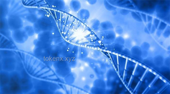 中国史前母系社会的基因密码：Nature见证的创新考古